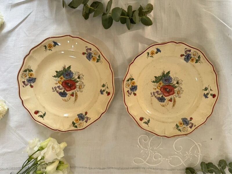 Set of 2 Sarreguemines plates