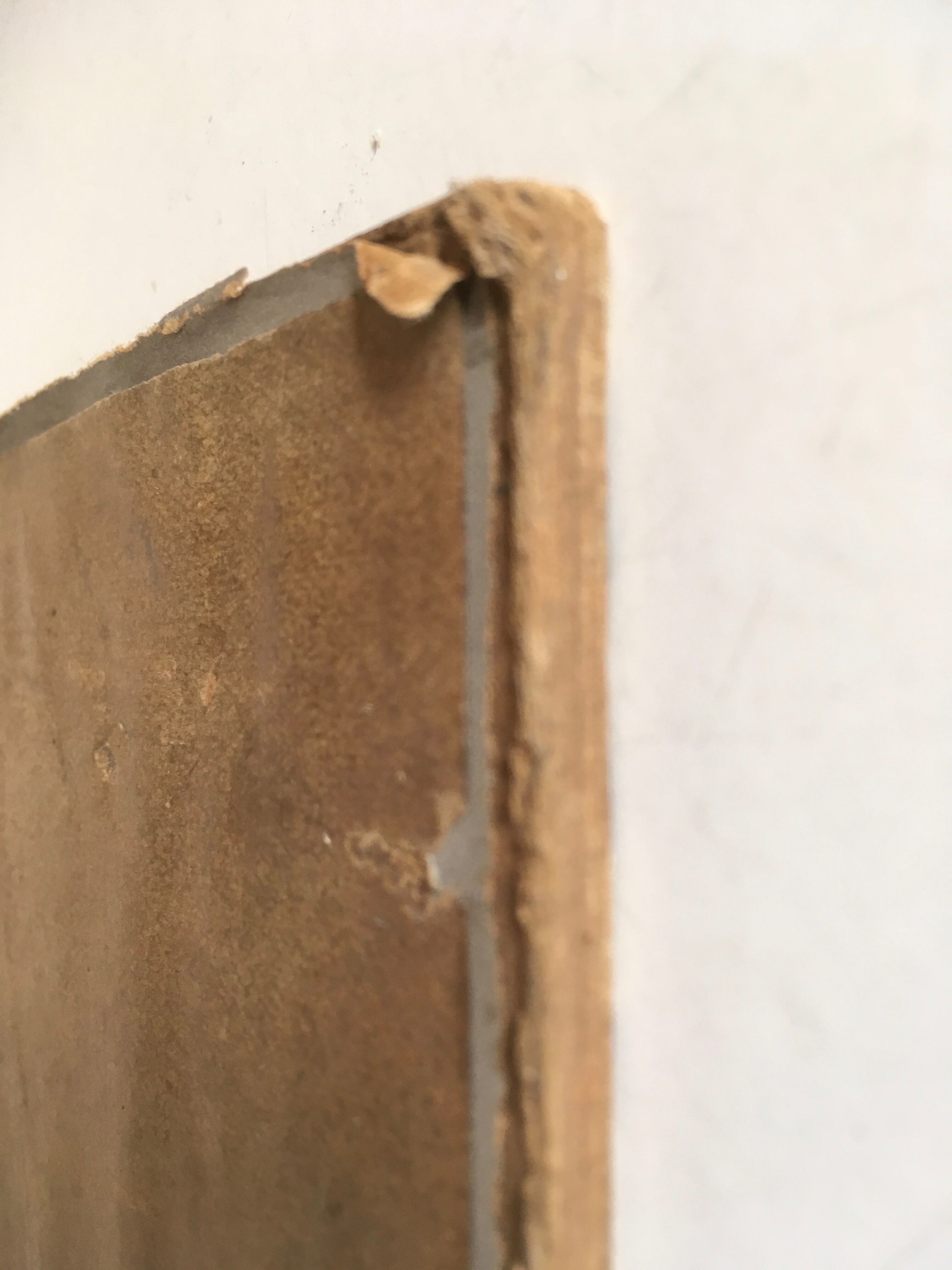 Portrait of a man 30's