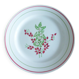 1 red and green flat plate 221238