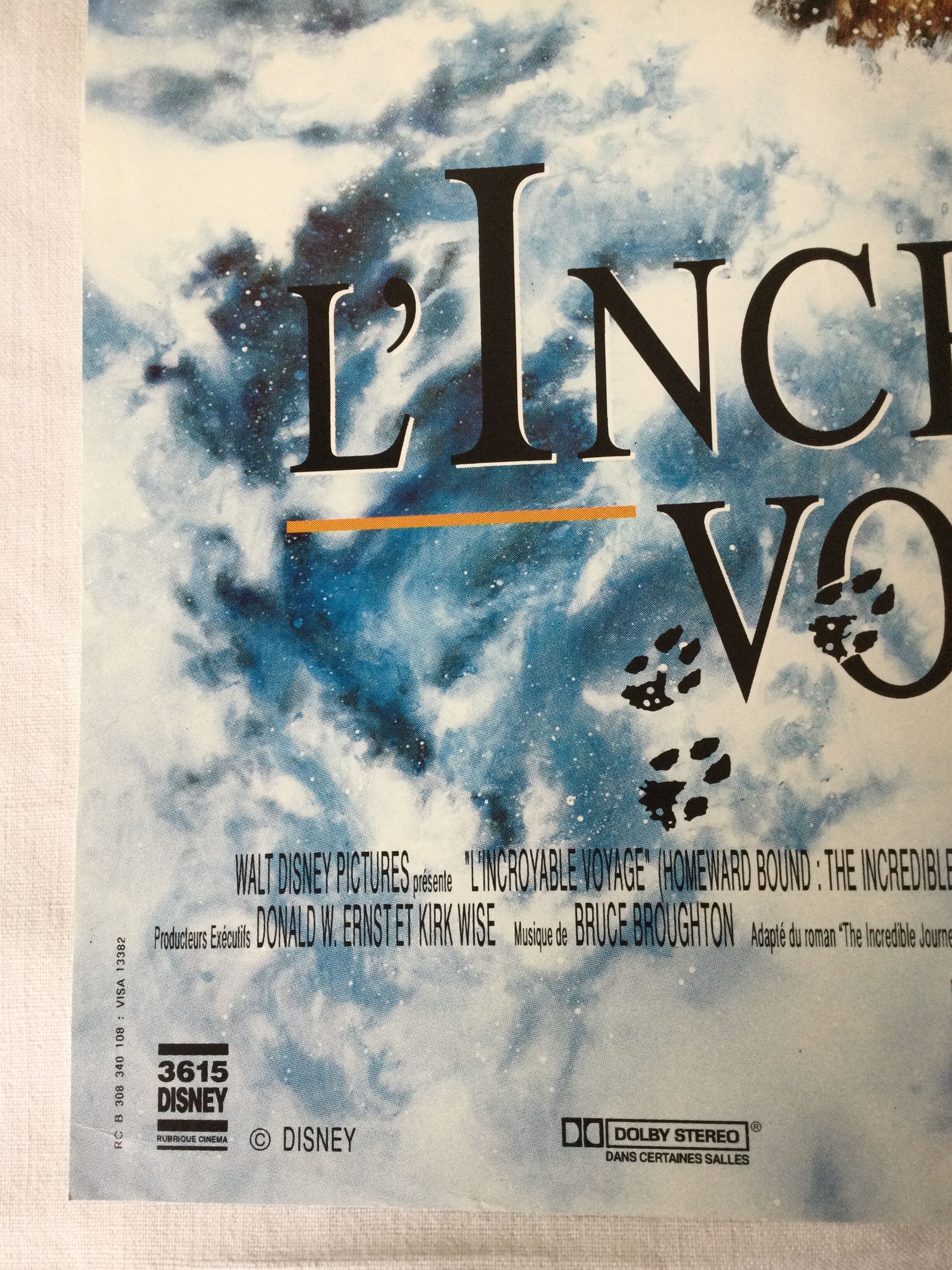 Poster of the film "The Incredible Journey"