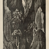 "Undergrowth" by Jean-Marie Estebe