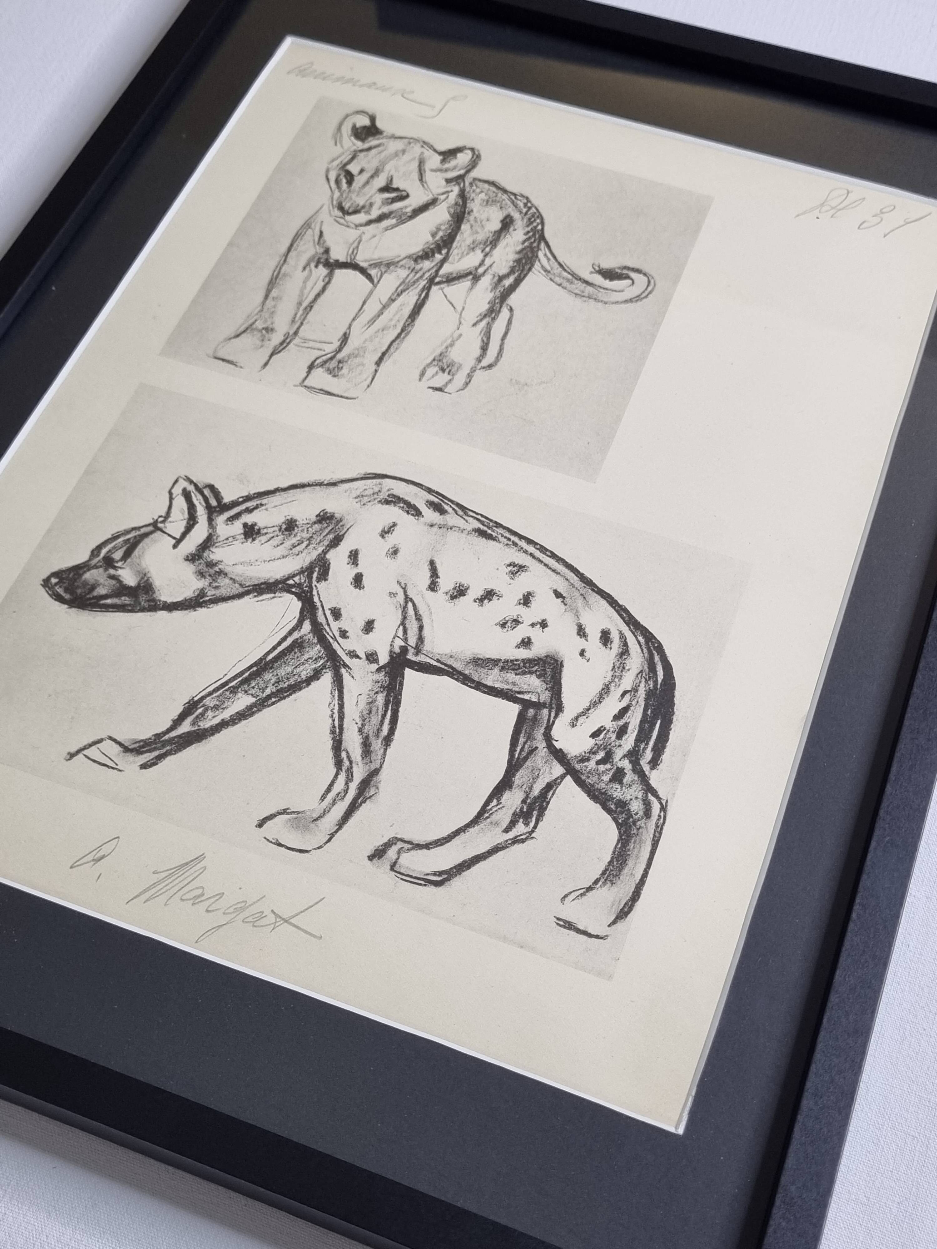 Illustrated plate, Studies of a lion cub and a hyena, Signed A. Margat, 1930