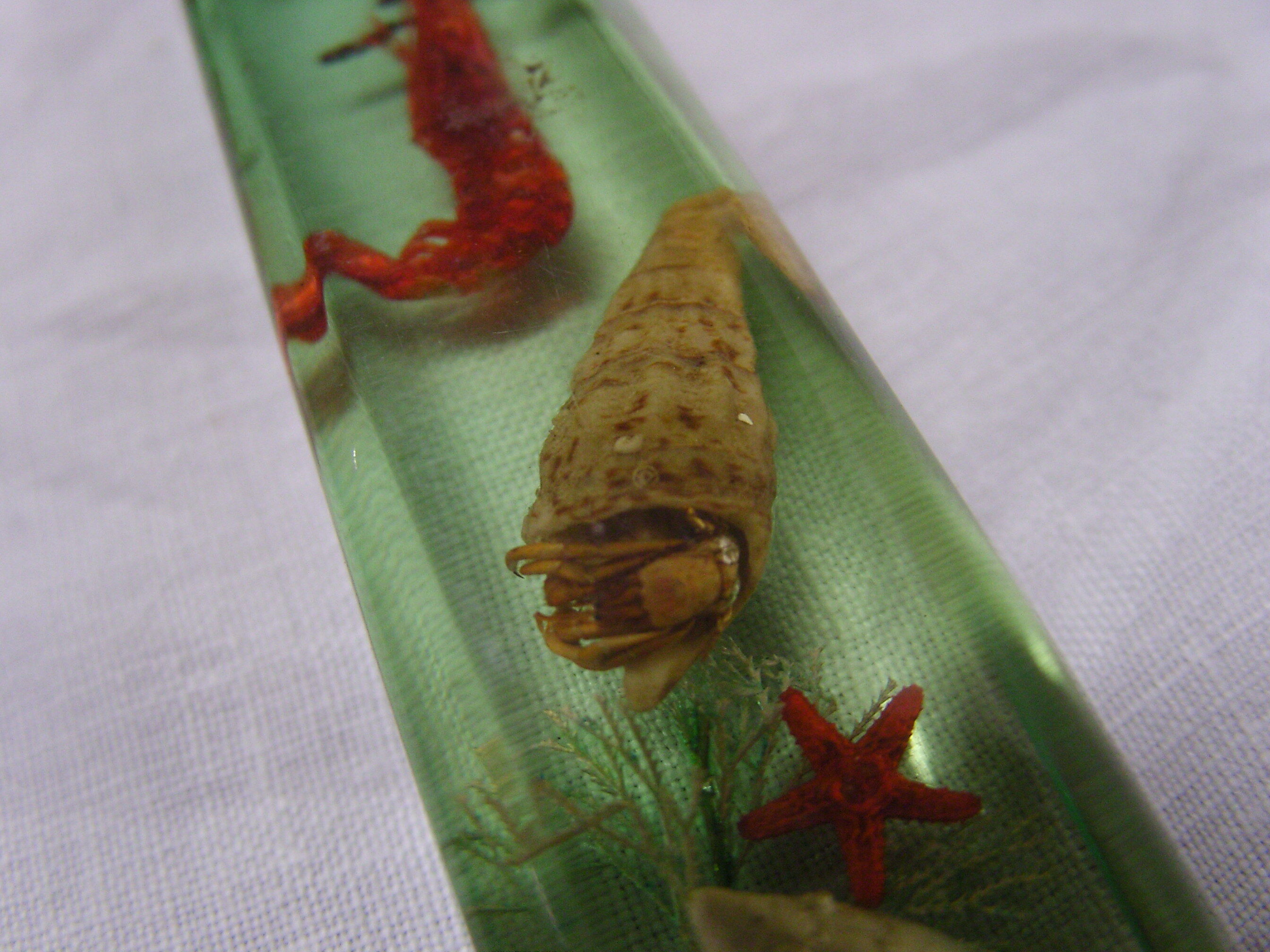 6 knife-wielding vintage insect inclusion