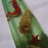 6 knife-wielding vintage insect inclusion