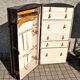 Antique 1920s Wardrobe Cabin Trunk Transatlantic Wardrobe Chest Dressing Room