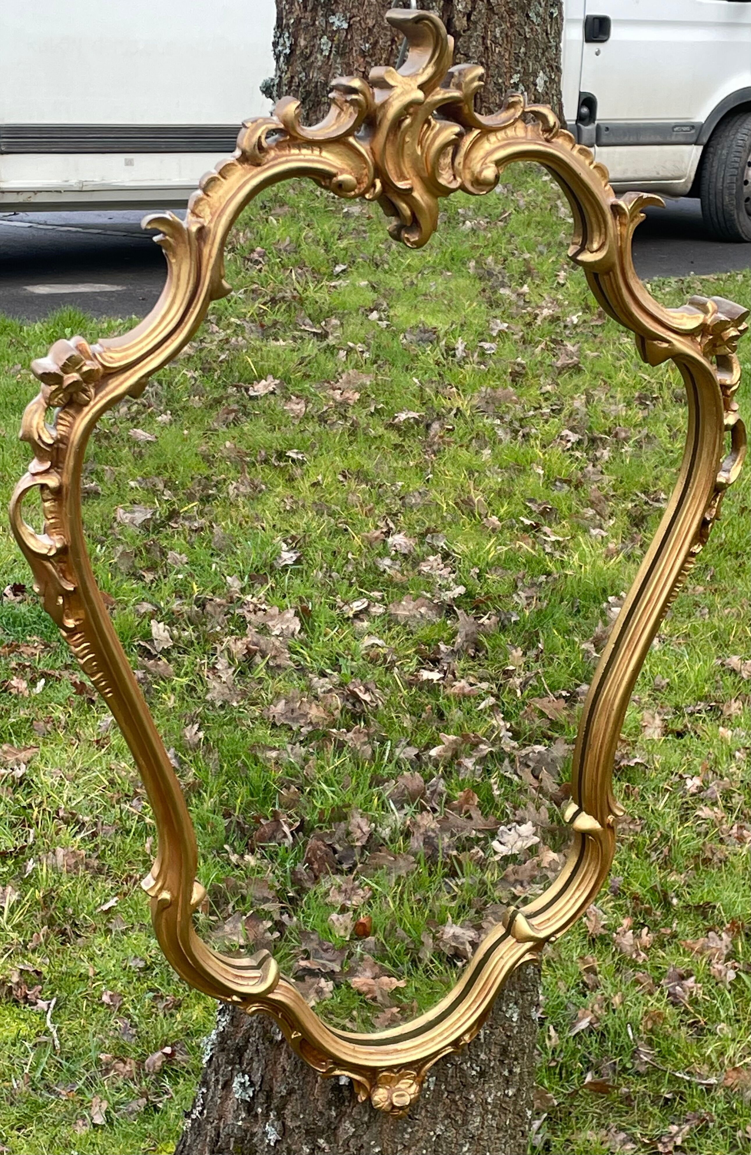 Louis XV Style wood and gilded stucco mirror with animated shape