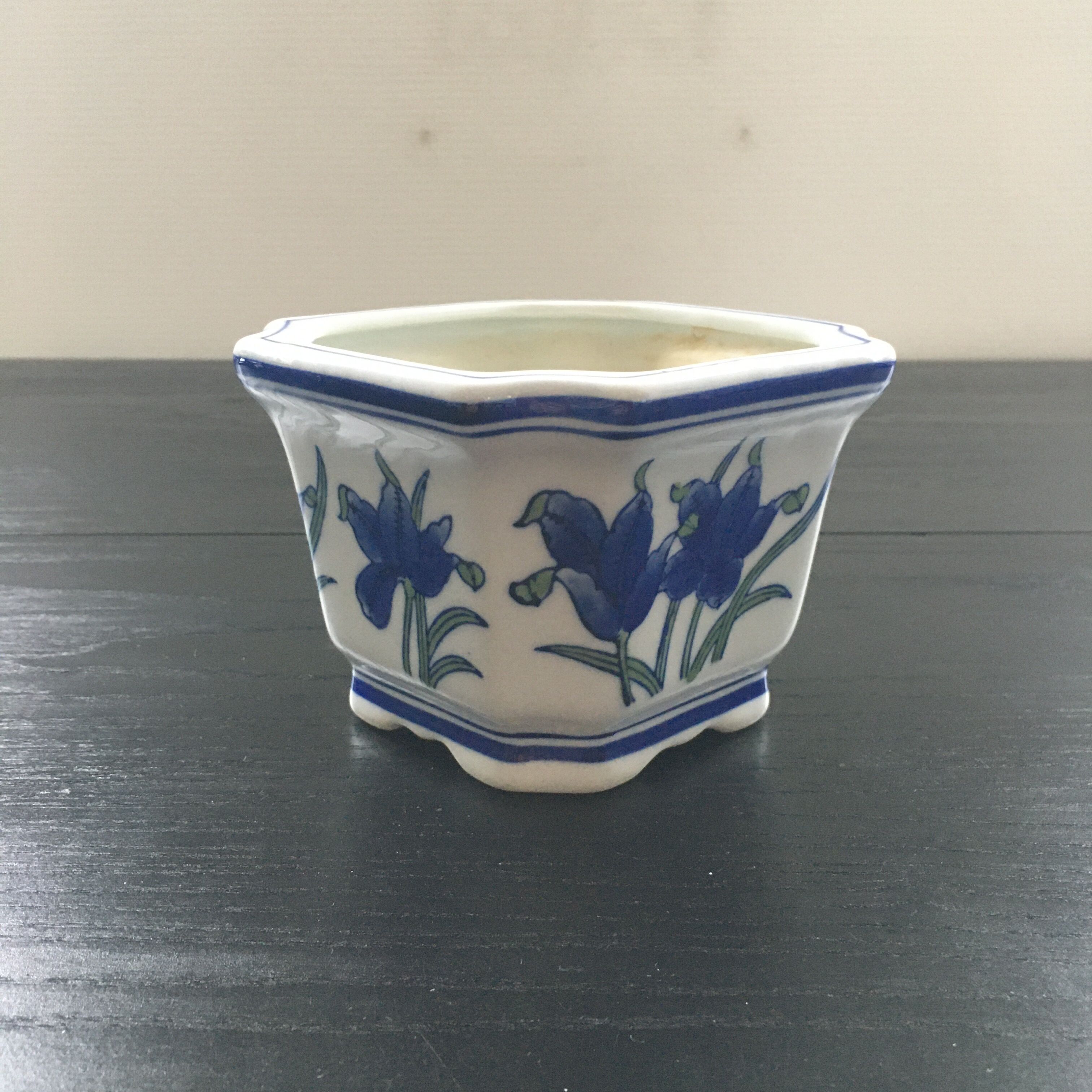 Blue iris pot cache.