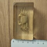 Crustacean in resin block