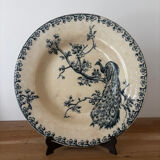 Old hollow plate Gien Terre de Fer Peafowl