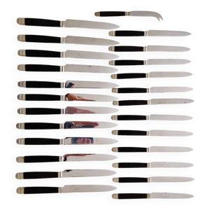 Ensemble de 25 couteaux - inoxydable