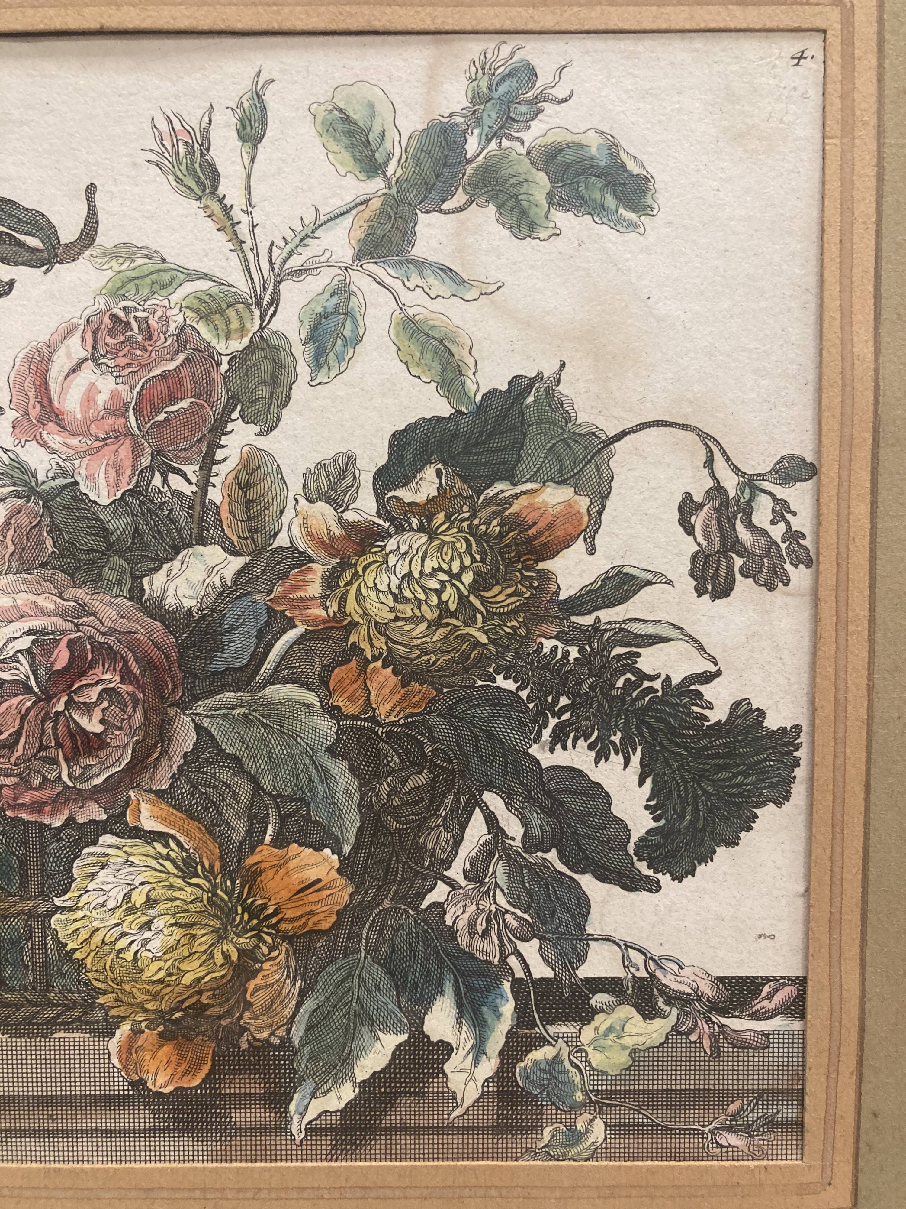 Pair of framed botanical boards