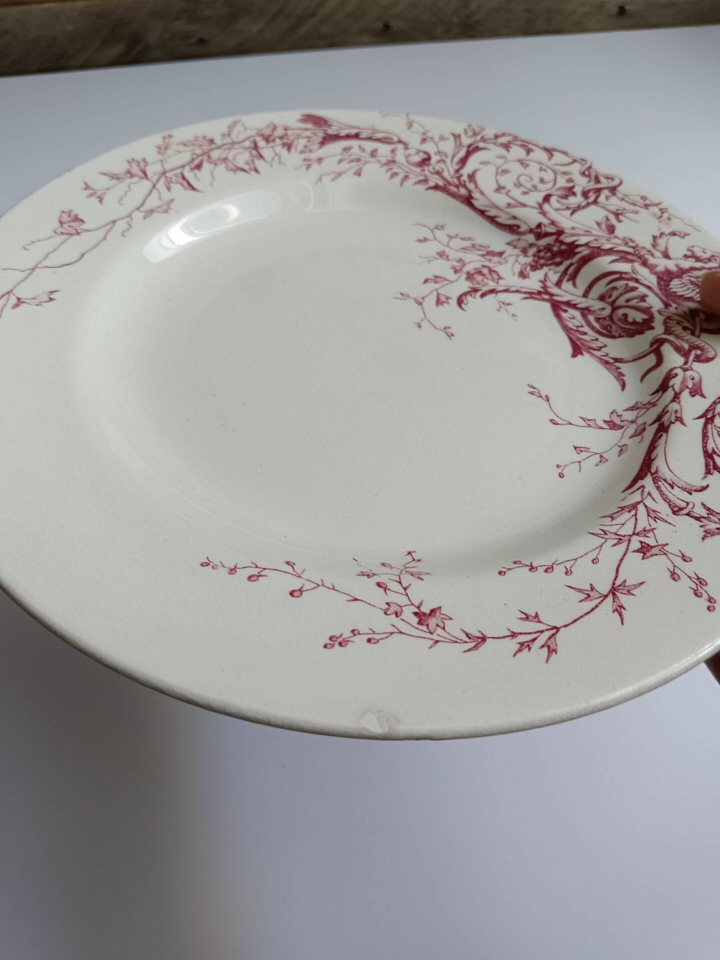 Joinville decorative plate KG Lunéville rose