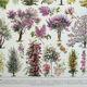 Old engraving 1928, Gardens 1, ornamental trees, plants • Lithograph, Original plate