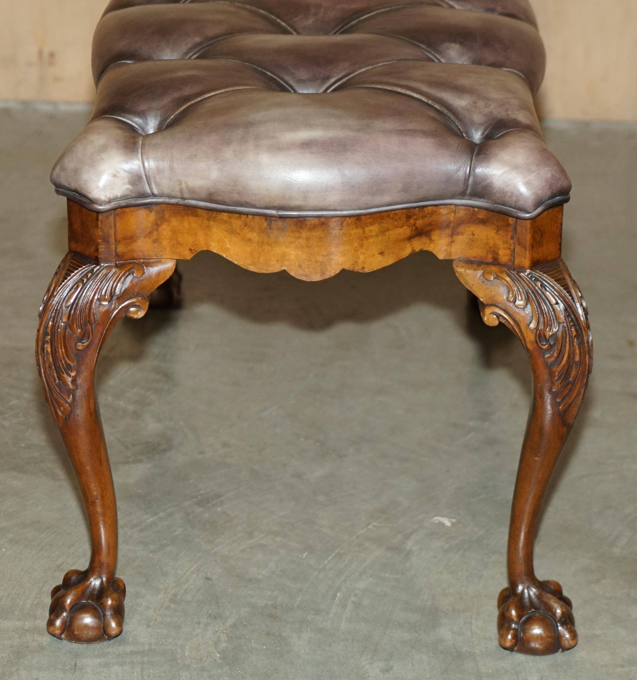 Banc ancien en cuir et noyer burr, style victorien