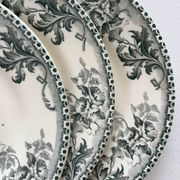 4 dessert plates ironstone "Liserons" Choisy le Roi