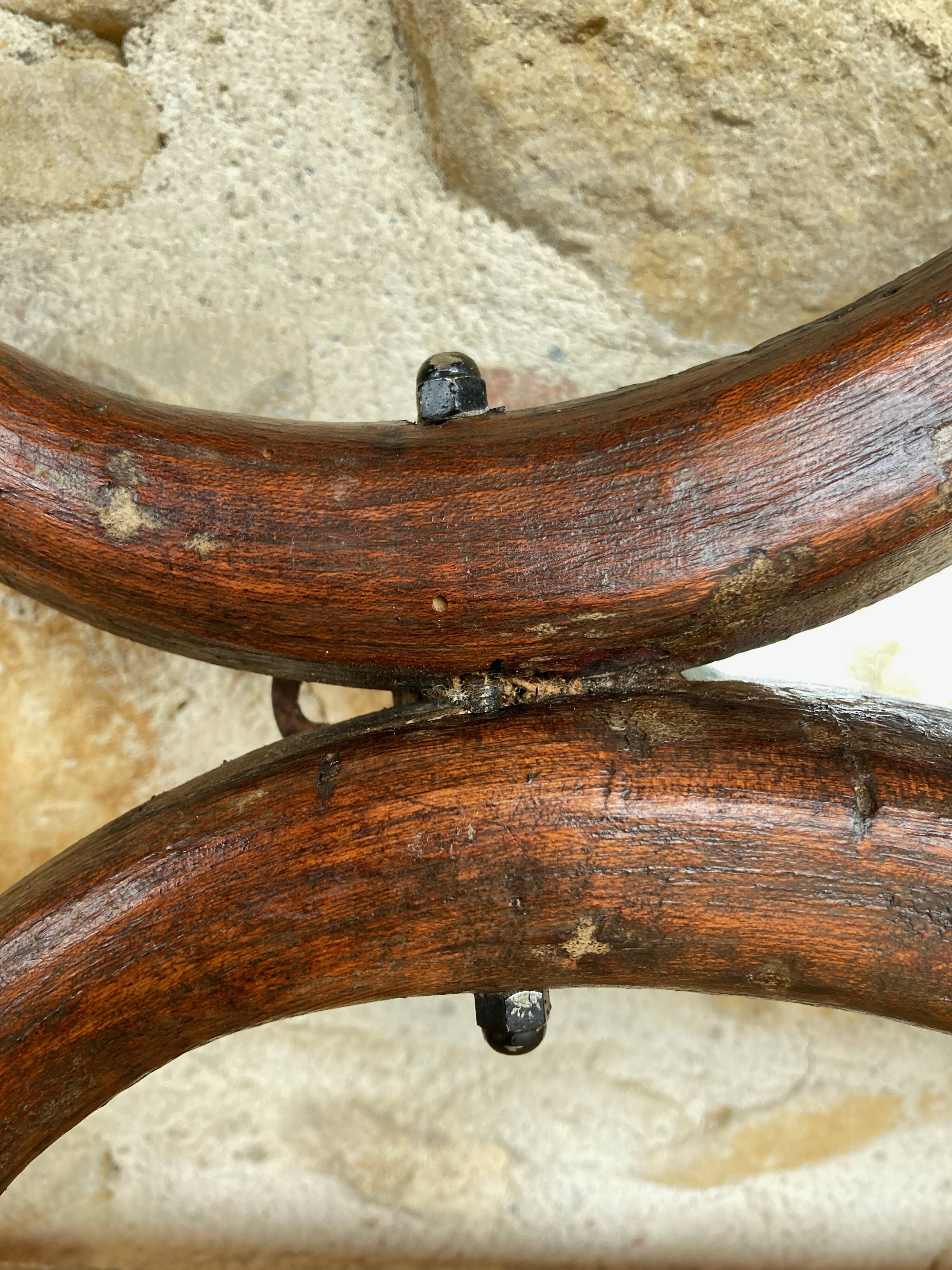 Mirror with fish-shaped wooden frame