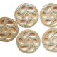 5 Orfinox majolica oyster plates