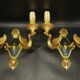 Pair of empire style swan sconces - petitot