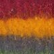 Large Kilim Rug "Cherga" Pastoral Vintage Pure Wool – 264 x 184 cm