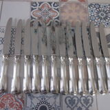 12 silver metal knives
