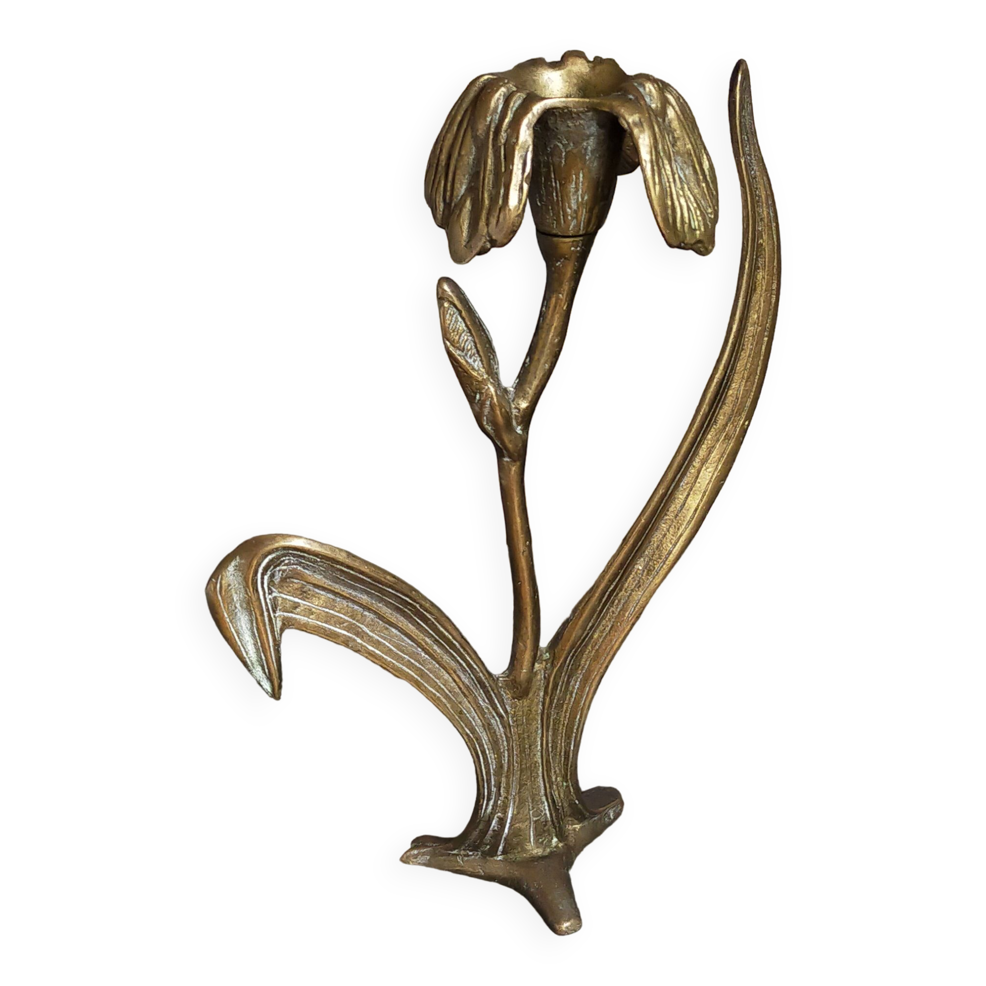 Old iris flower candle holder in solid brass