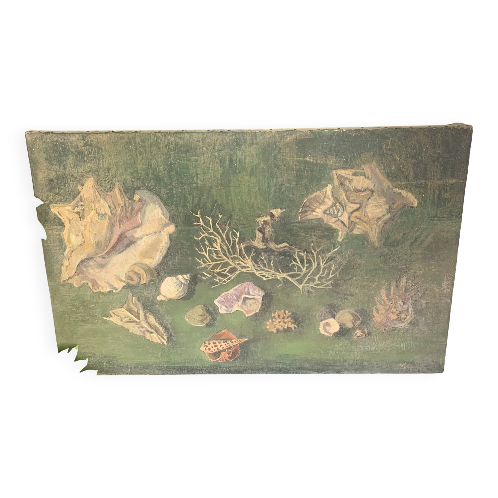 Large painting of shells, cabinet of curiosities, sign, vintage