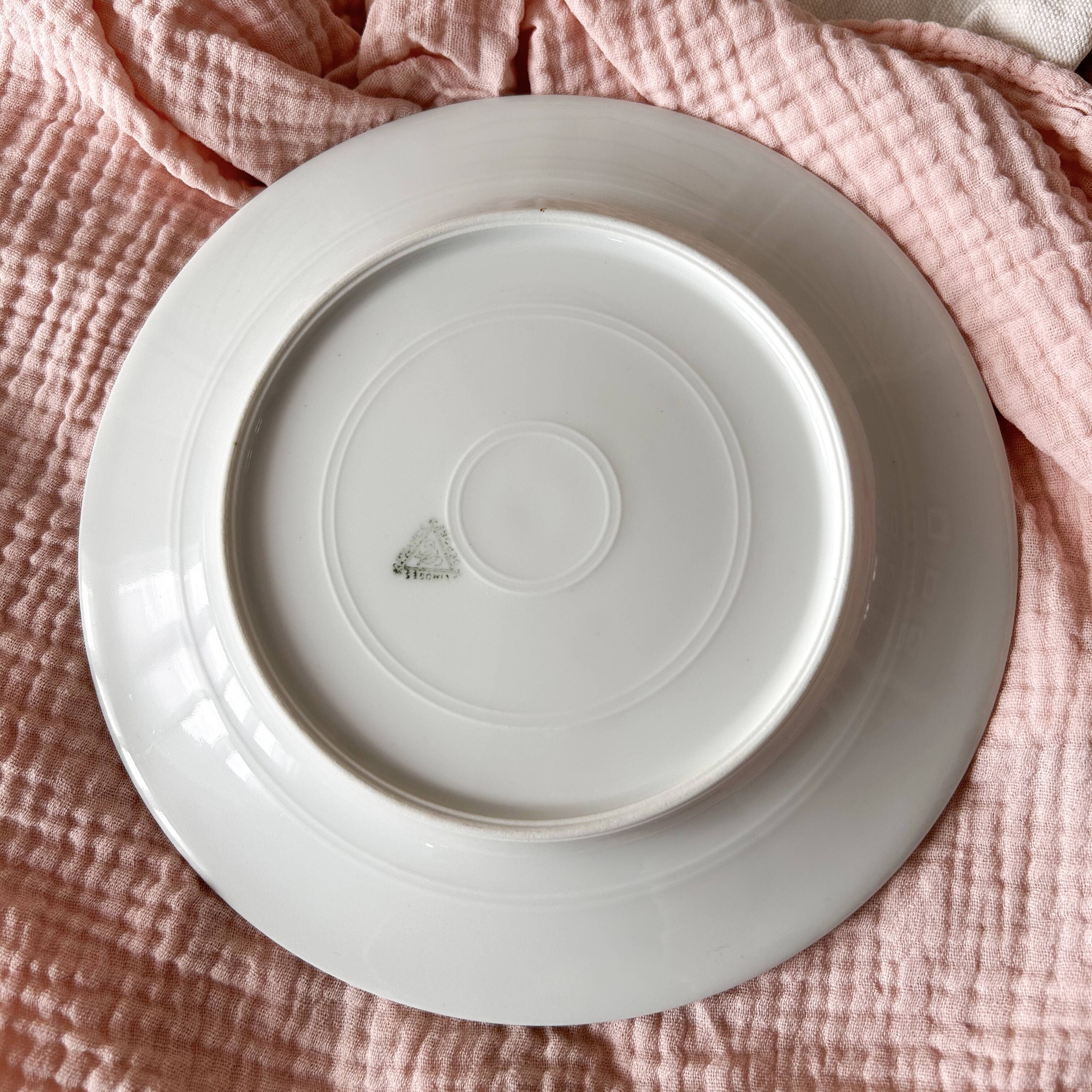 Limoges porcelain plate