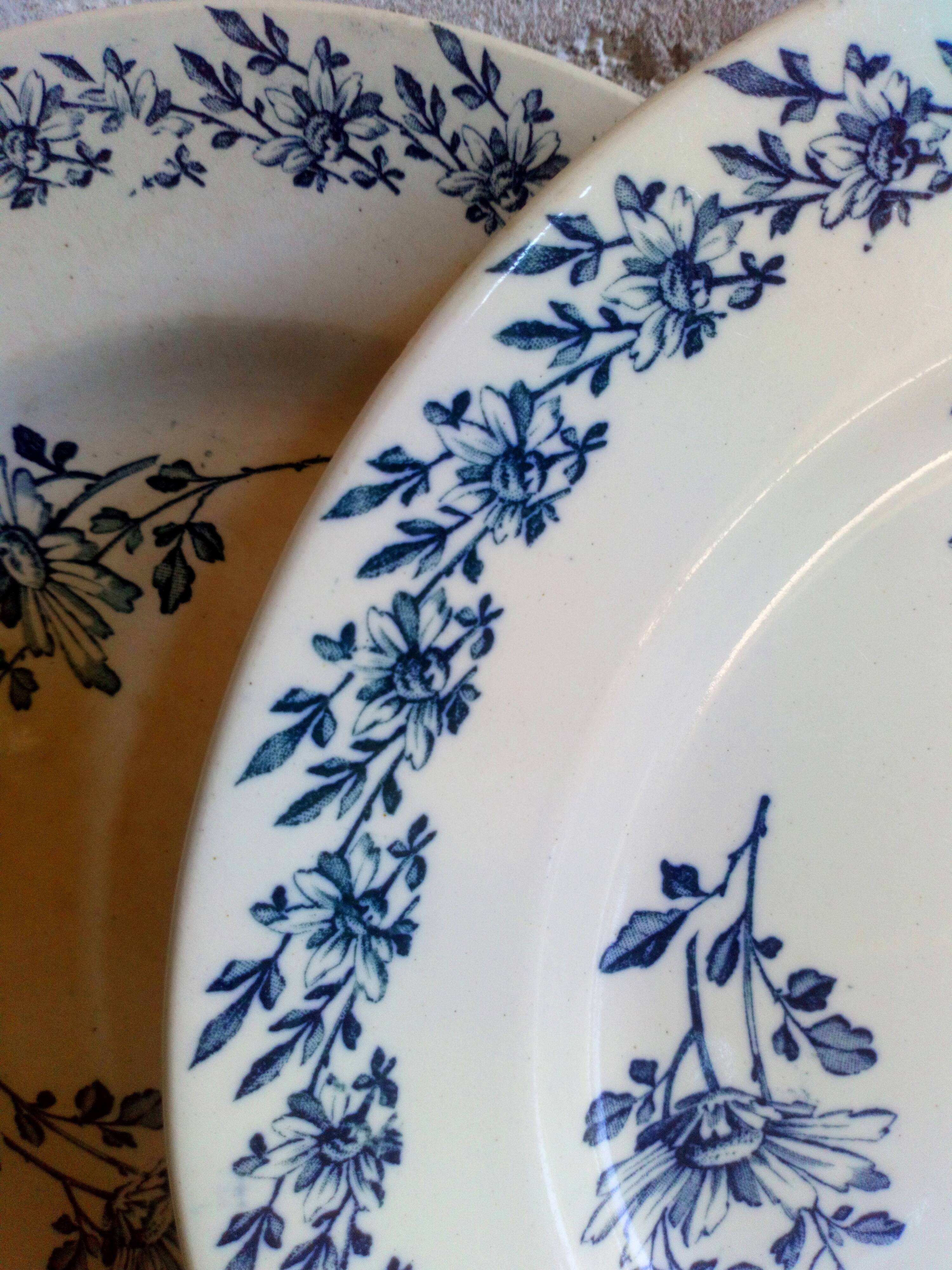 Six old plates made of lednéville iron soil from the "paquerette" sevice