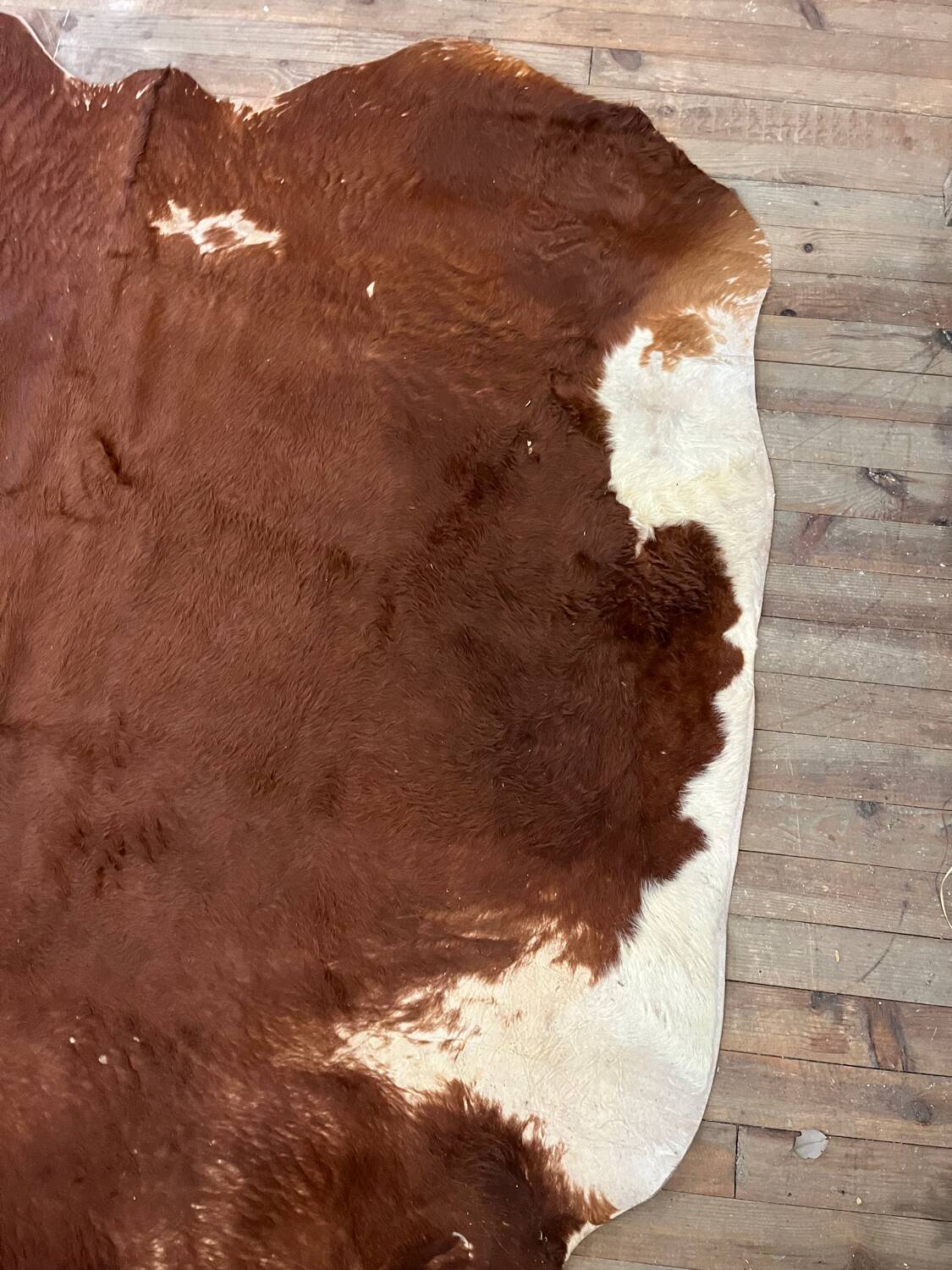 Cow rug