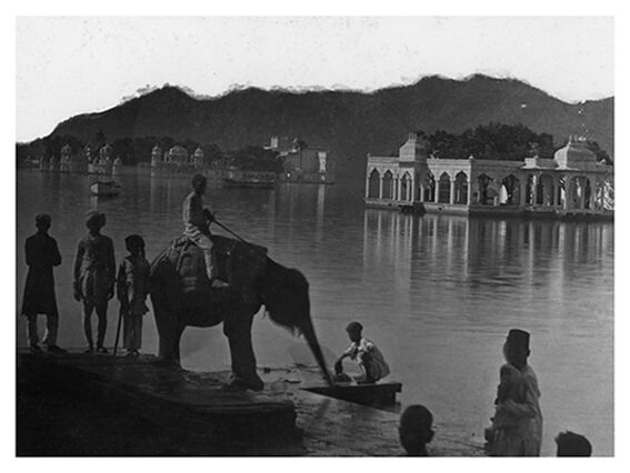 Udaipur, photo of a young elephant by the lake