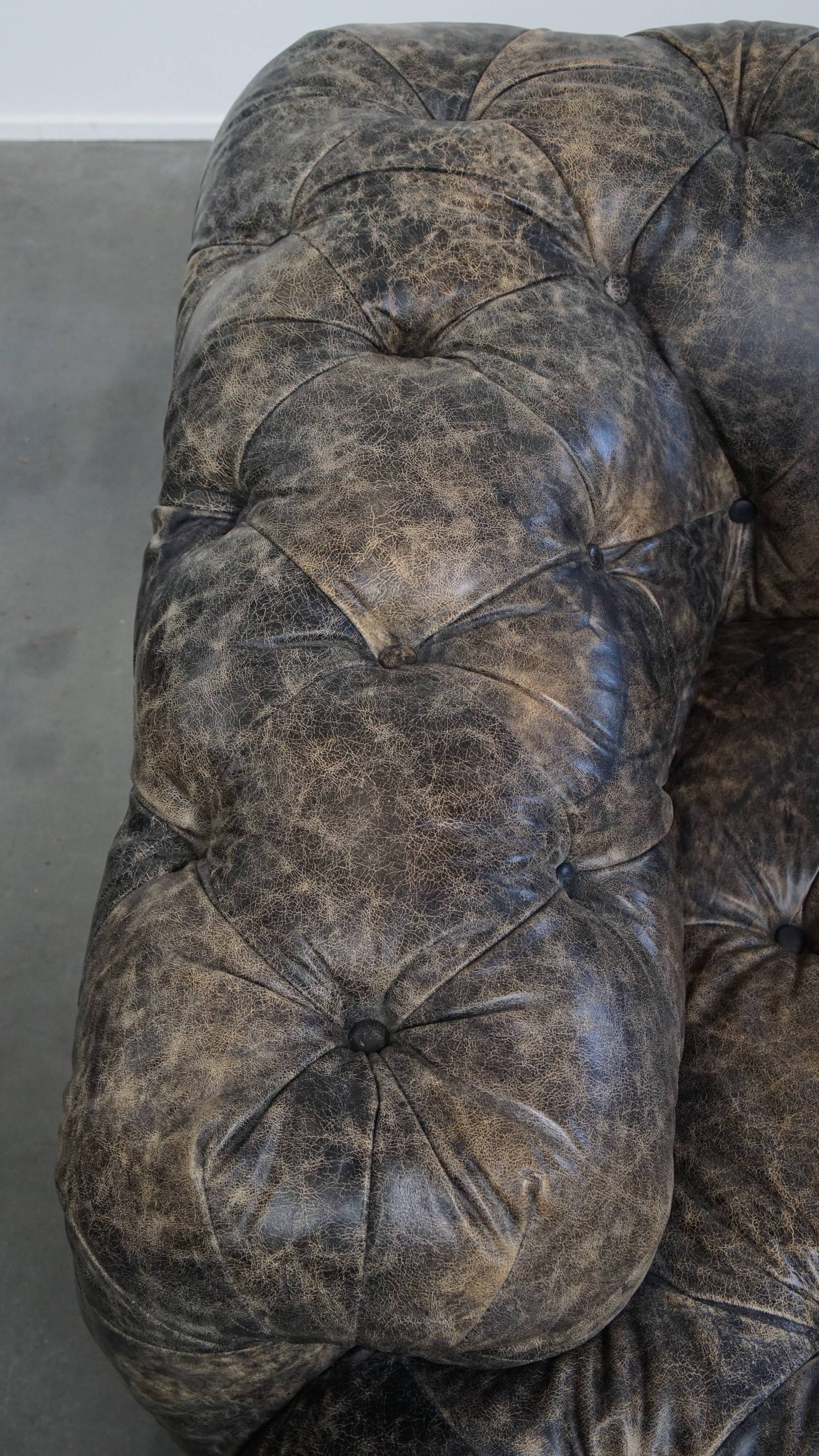 Chesterfield cowhide sofa