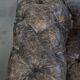 Chesterfield cowhide sofa