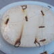 1 dish 1 plate ancient Chinese porcelain white blue