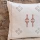 Cactus silk pillow, cactus silk cushion, lumbar pillow, decorative silk pillow
