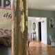 Miroir 180 x 70cm