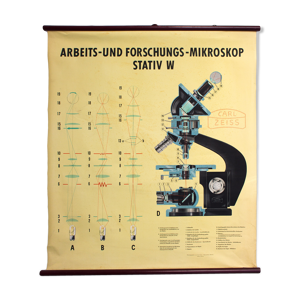 Affiche pédagogique microscope