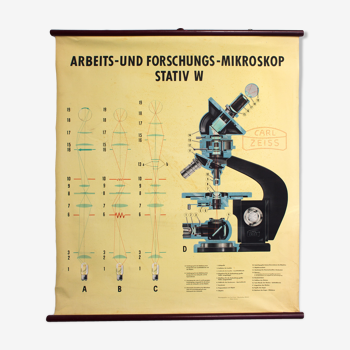 Educational poster microscope 1949