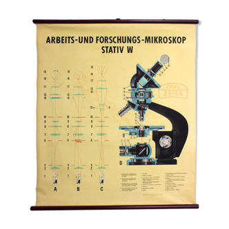 Affiche pédagogique microscope 1949