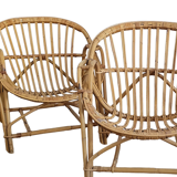Duo of rattan shell armchairs 1970