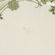 7 flat plates terre de fer sarreguemines u&c geranium