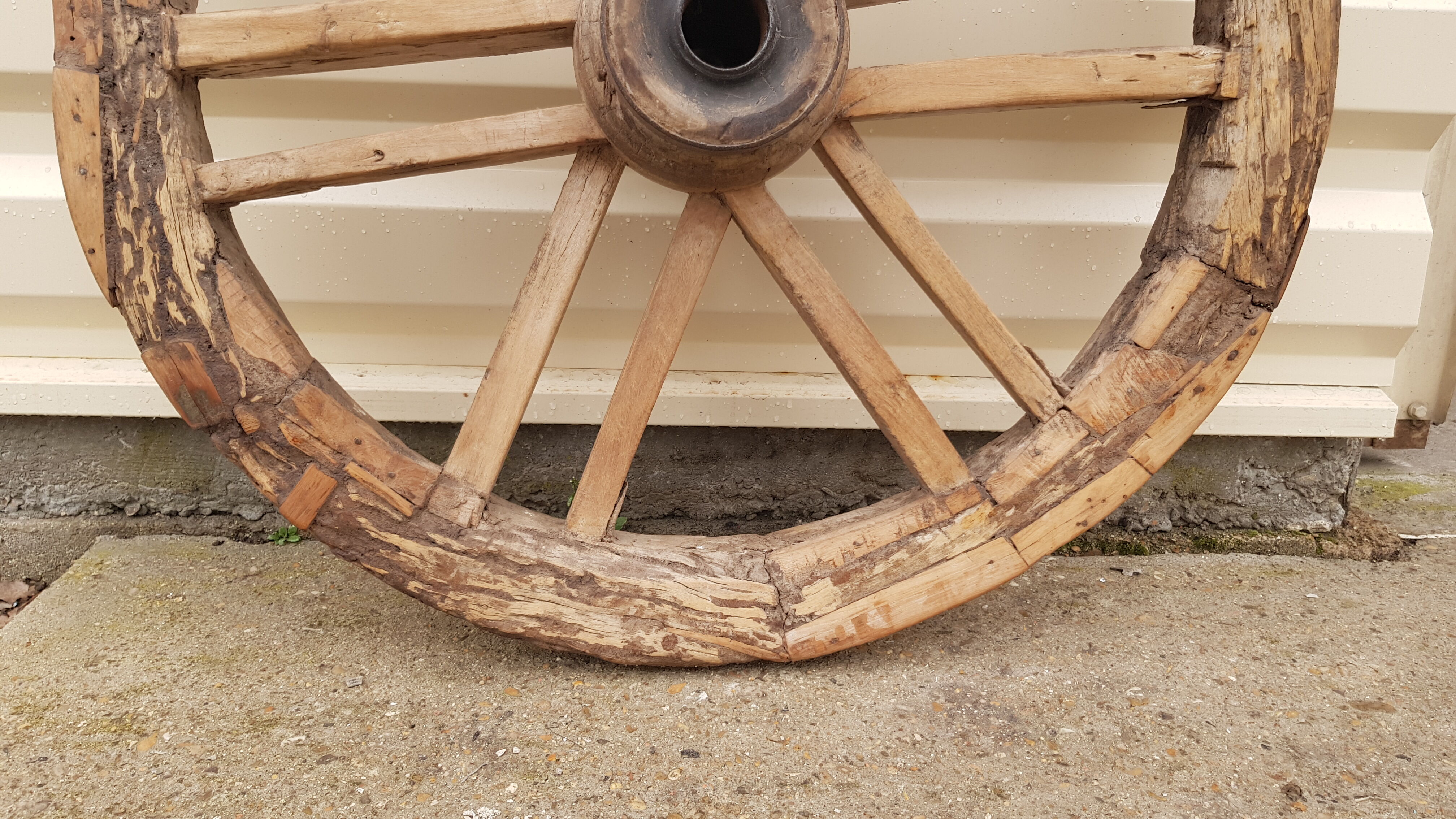 Old teak plow wheel