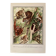 Illustrated plate on arboreal mammals (cats, monkeys, lemurs) – 1950