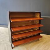 Mid century shoe cabinet