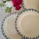 6 assiettes plates anciennes en terre de fer modèle "Sathonay" de la manufacture francaise de Salin