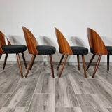 Dining Chairs by Antonin Suman, 1960s, Set of 4