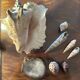 Lot of 8 old collectible shells - cabinet of curiosity
