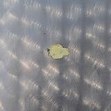 Italian 800 empire style solid silver tray