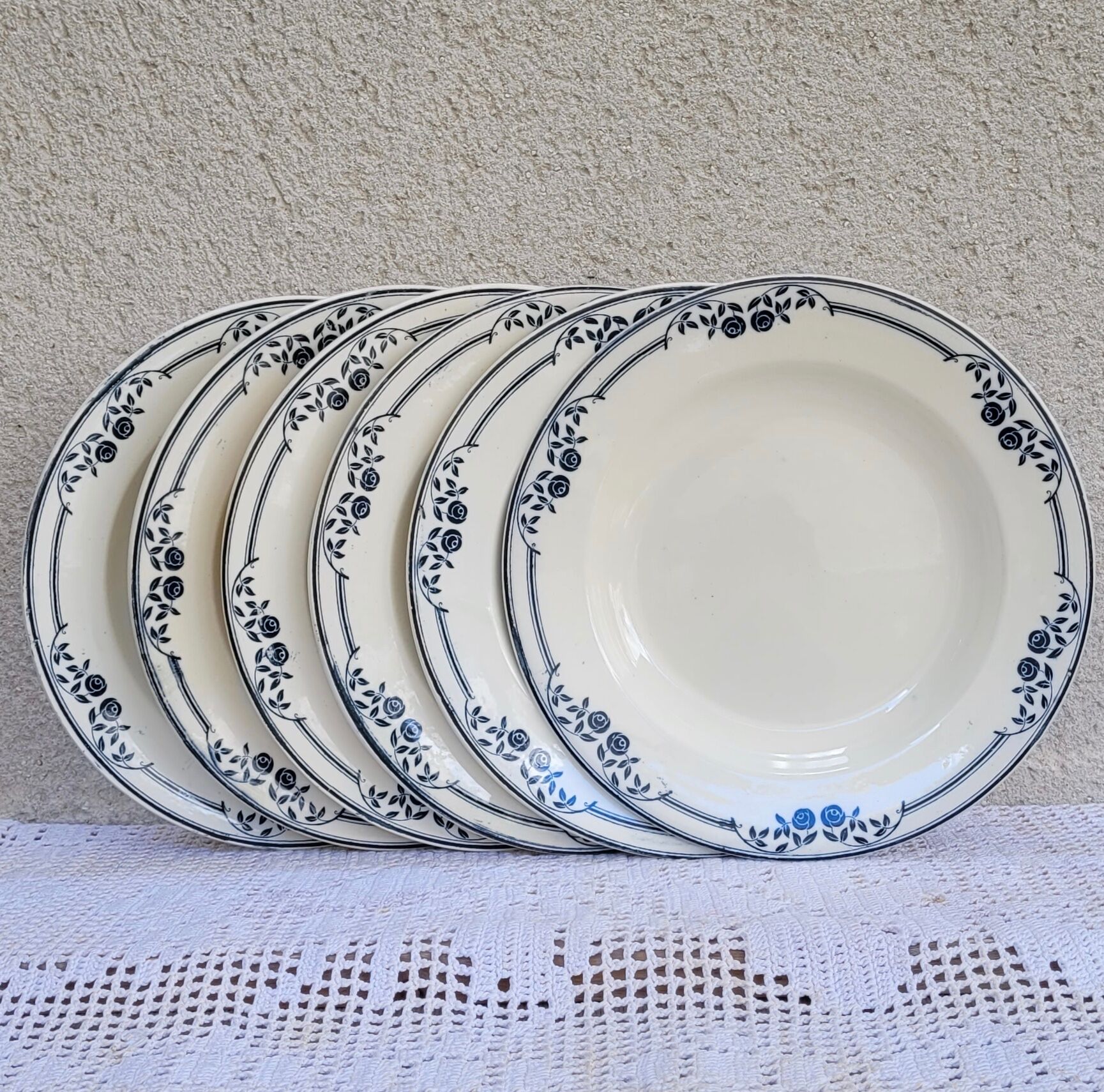 Set of 6 hollow plates Salins Model Saussure A.B.Terre de Fer