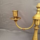 Antique Brass Gilded Candle Holder Chandelier Louis XVI Style