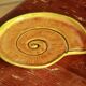 Old dish vallauris